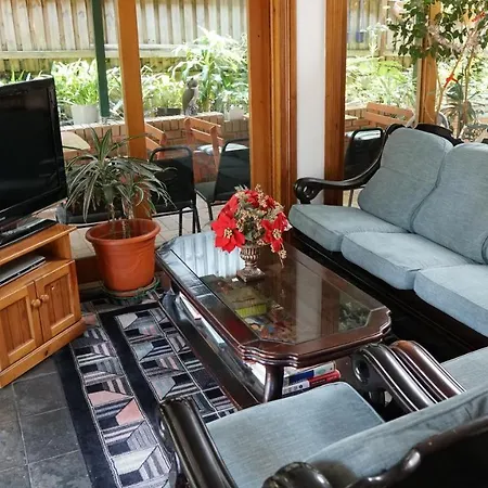 Alishan International Guest House-2